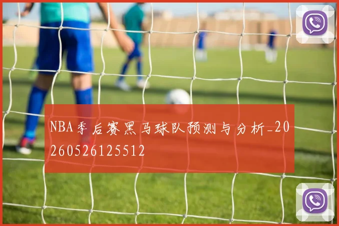 NBA季后赛黑马球队预测与分析_20260526125512