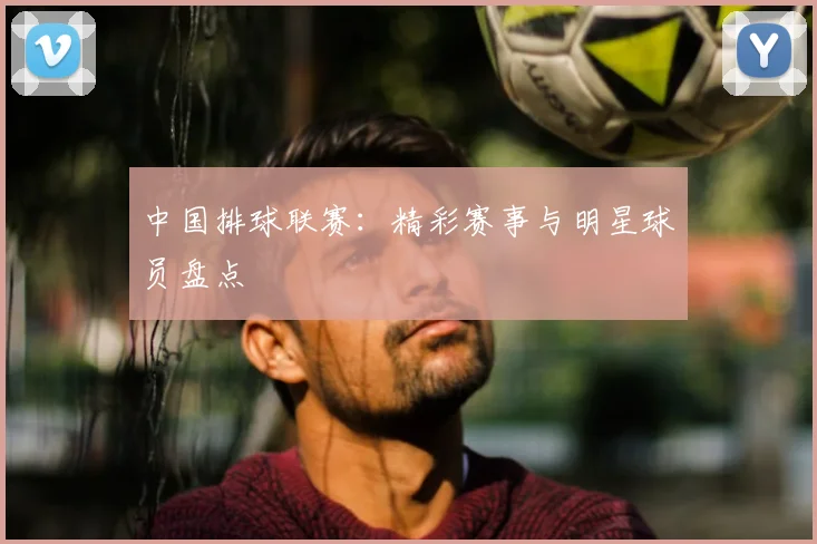 中国排球联赛：精彩赛事与明星球员盘点